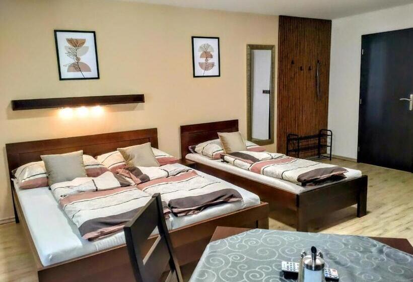 פנסיון Penzion Malé Lipno