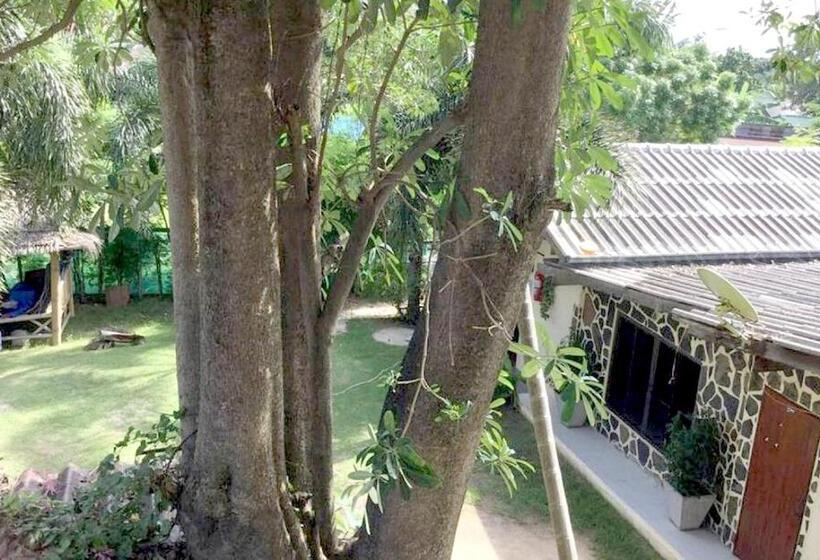 בית מלון כפרי Wet! A Pool Party Hostel By Wild & Wandering