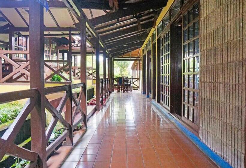 هتل Lembah Nyiur By Oyo