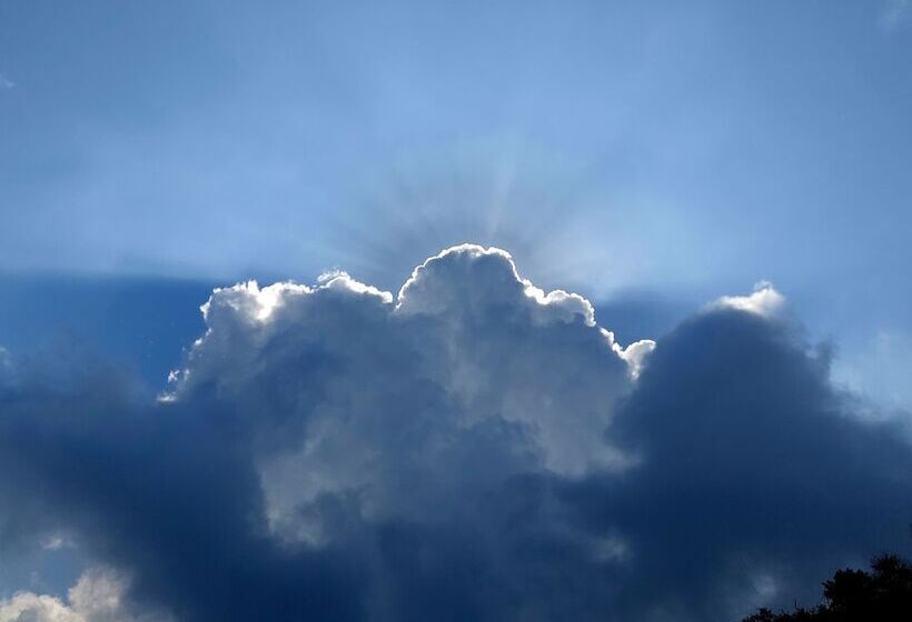 فندق Oren Kasauli