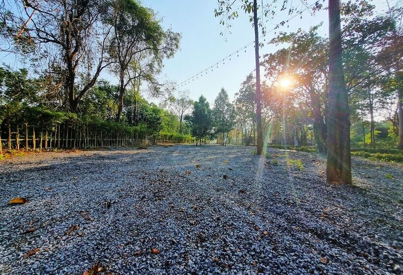 منتجع The Wild Khao Yai   Glamping