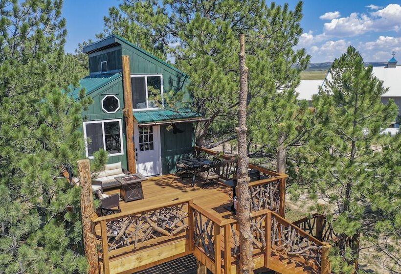 Отель Tree Eagles Nest