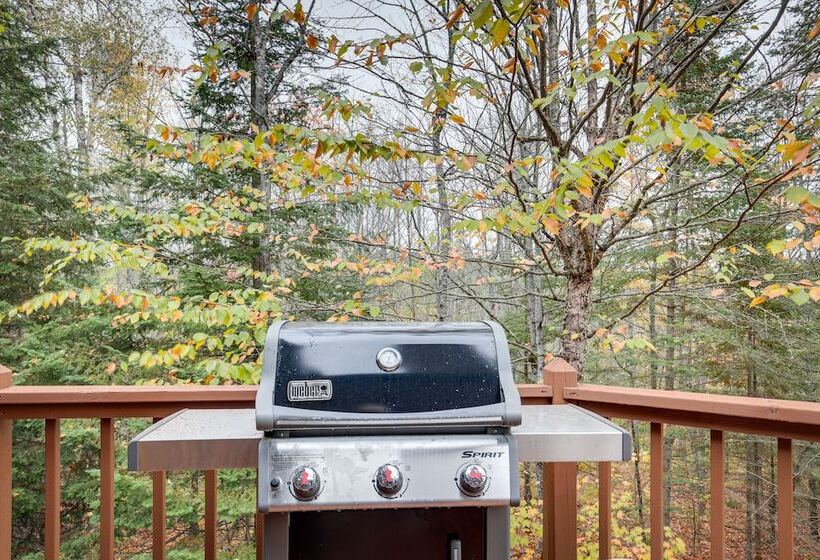Lakefront Presque Isle Cabin W/ Private Dock