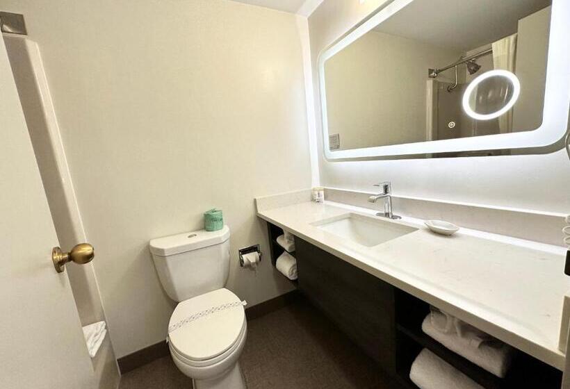 مسافرخانه Kiteville Cedar Rapids