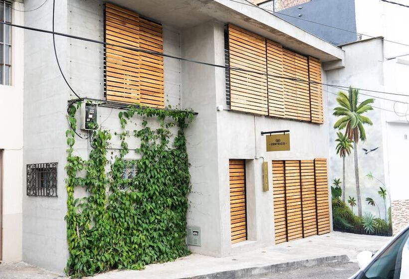 هتل Zentrico Boutique