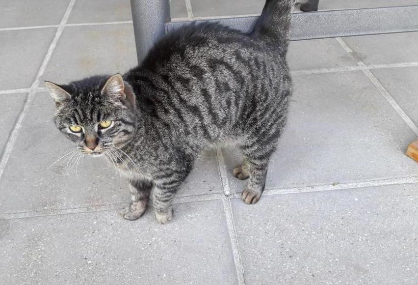 ホテル Am Baalstein