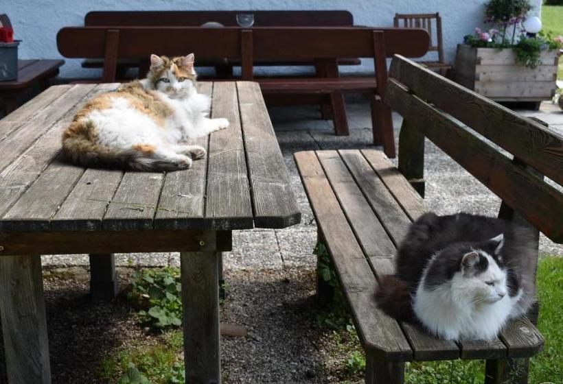 בית מלון כפרי Bauernhof Grubinger