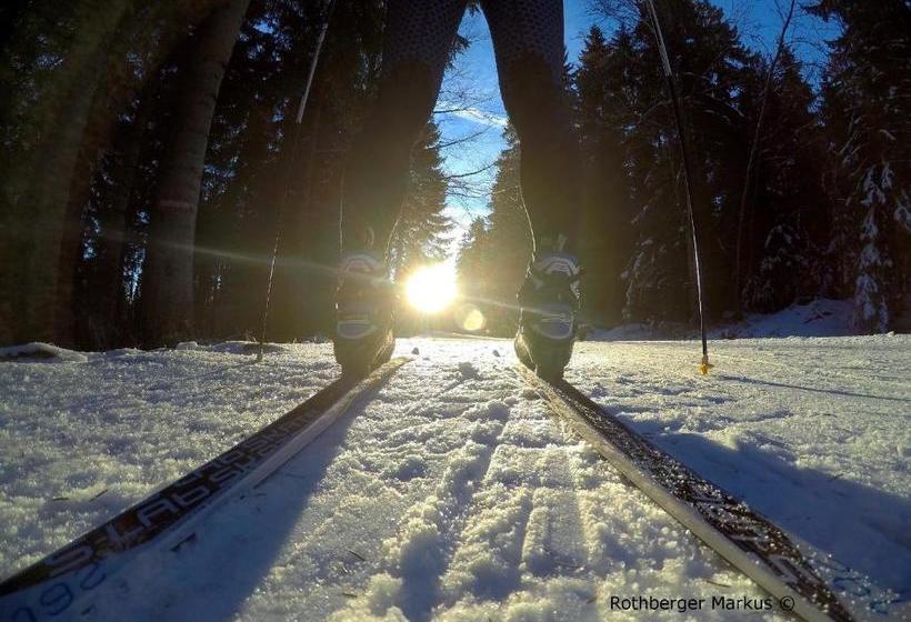 ホテル Hochfichtblick Apartments