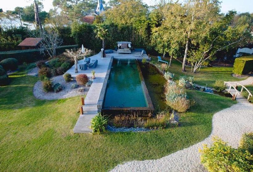 هتل Dream Home Vang Vieng