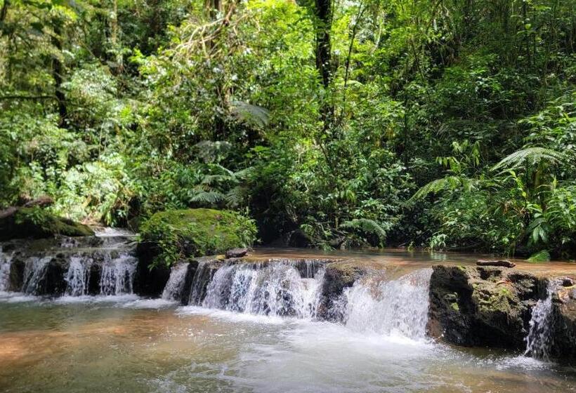 مبيت وإفطار Poas Volcano & La Paz Waterfall Cabins