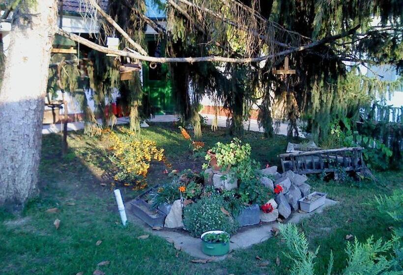 Bed and Breakfast Vali Vendégház