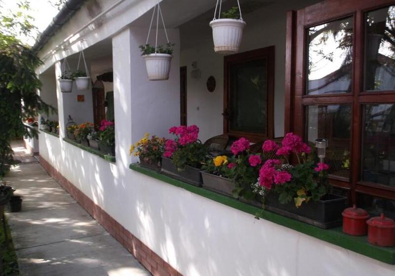 Bed and Breakfast Vali Vendégház