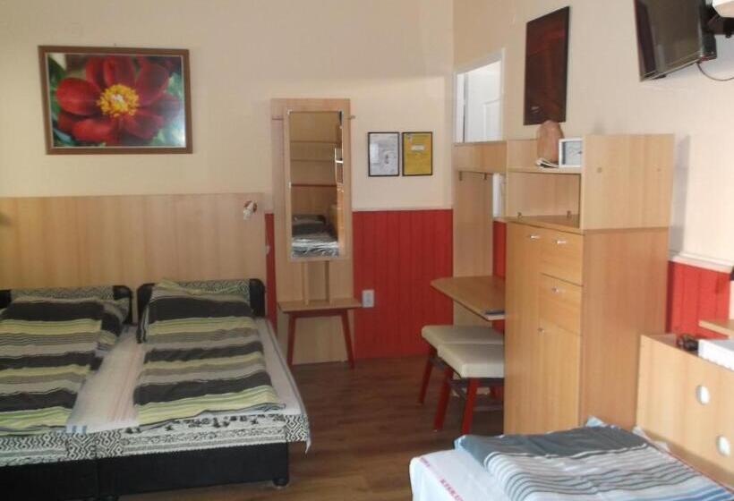 Bed and Breakfast Vali Vendégház