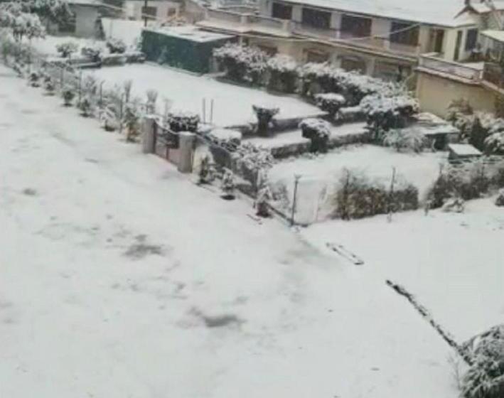 호텔 Grg Tribhuwan Ranikhet