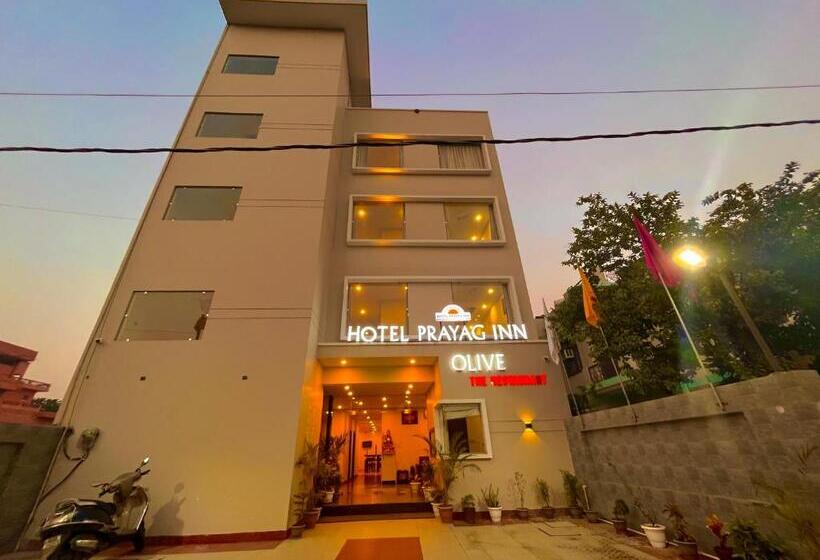 בית מלון כפרי Olive Vault, Most Awarded Property In Haridwar