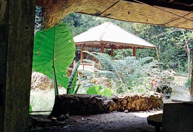 پانسیون Back To Nature Ecotourism