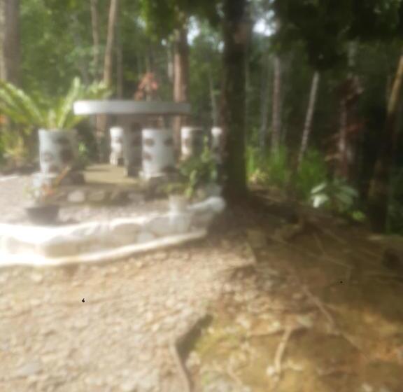 ペンション Barus Jungle View