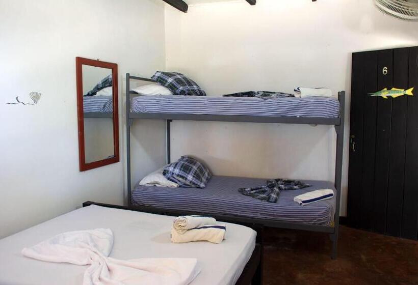 پانسیون Palenque Beach House