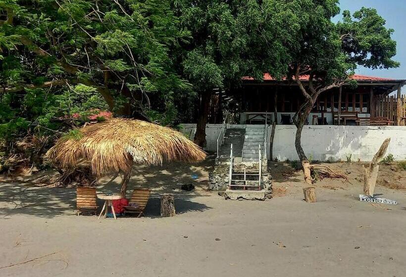 بنسيون Exotic Island Lodge