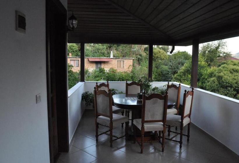 پانسیون Timber Guest House