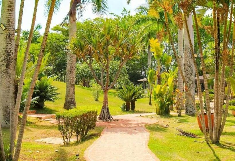 Resort Das Oliveiras