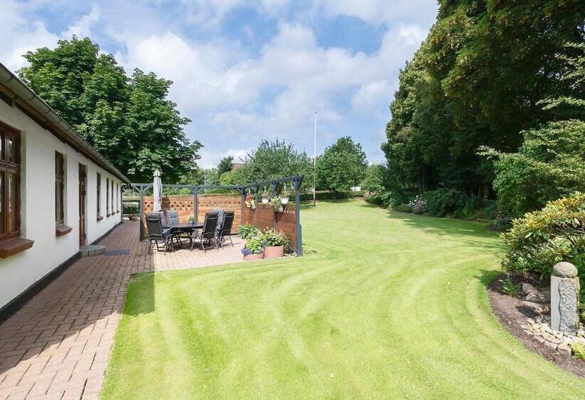 تختخواب و صبحانه Stay Billund