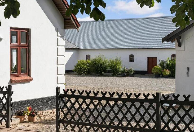 تختخواب و صبحانه Stay Billund