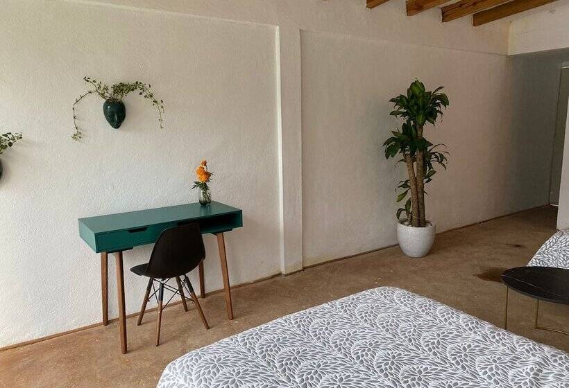 فندق Brida Tlayacapan