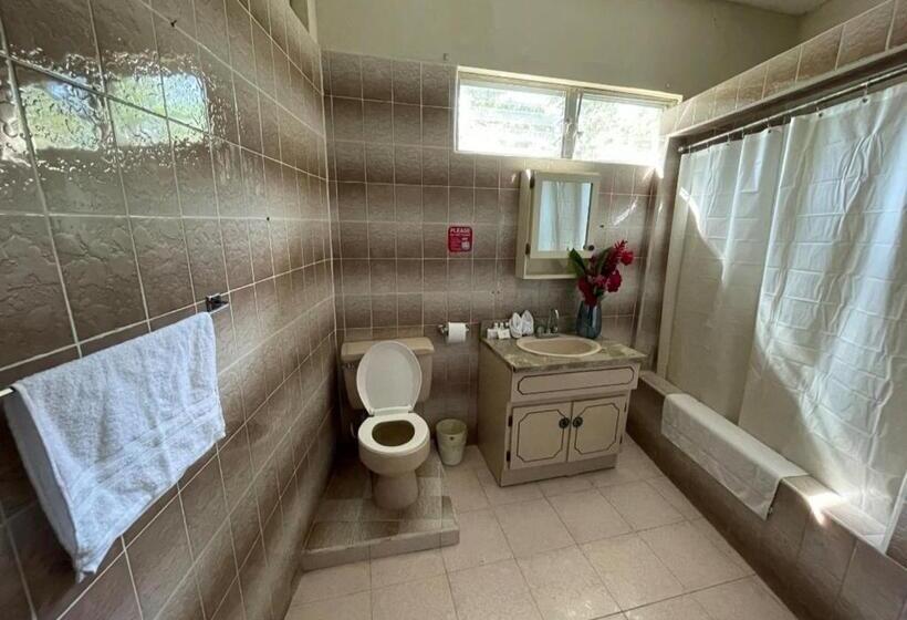 بنسيون Arnold's Guest House