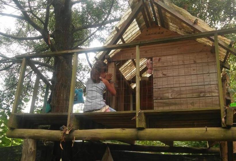 هاستل Resiliencia