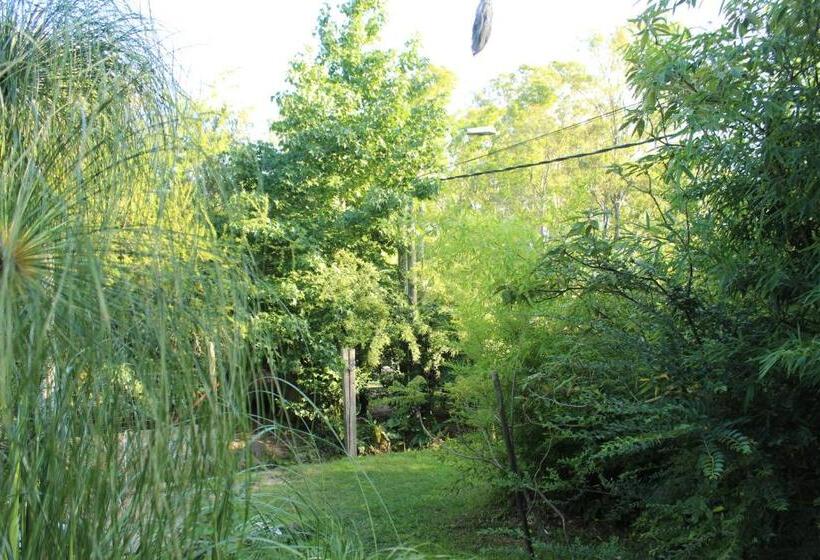 هاستل Resiliencia