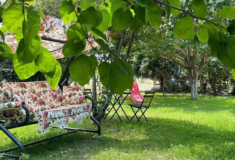 住宿加早餐  Datça House Butik Otel