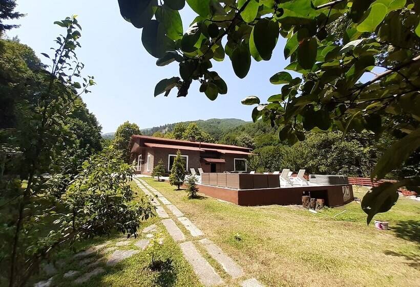 Feel & Live Hotel Villas Restaurant