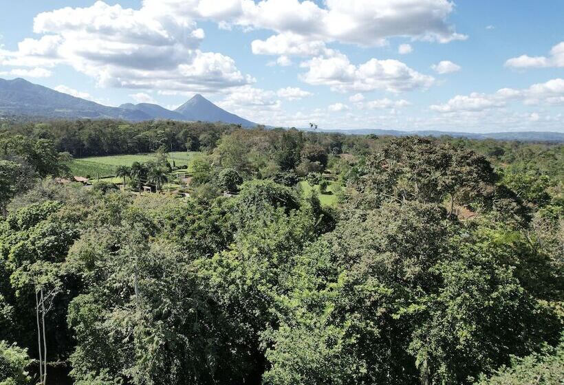 בית מלון כפרי Bungalows Las Iguanas Arenal Volcano