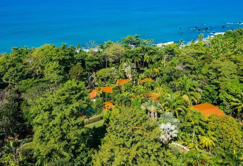 酒店 La Ponderosa Beach & Jungle Resort