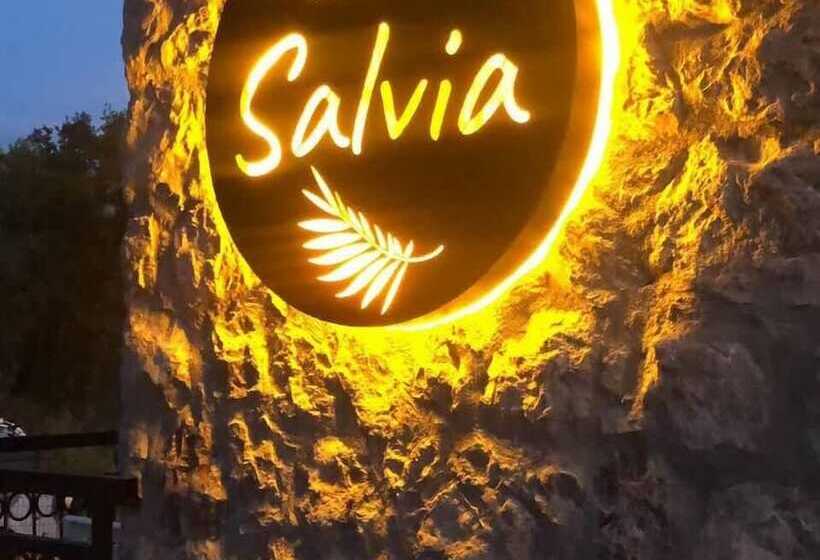 酒店 Salvia Butik Sogut