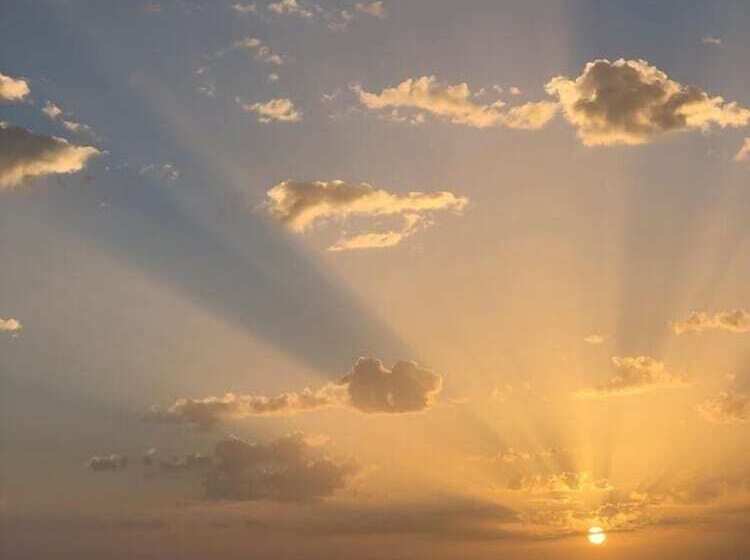 酒店 Salvia Butik Sogut