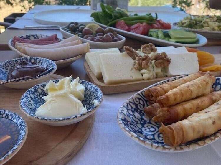 酒店 Salvia Butik Sogut