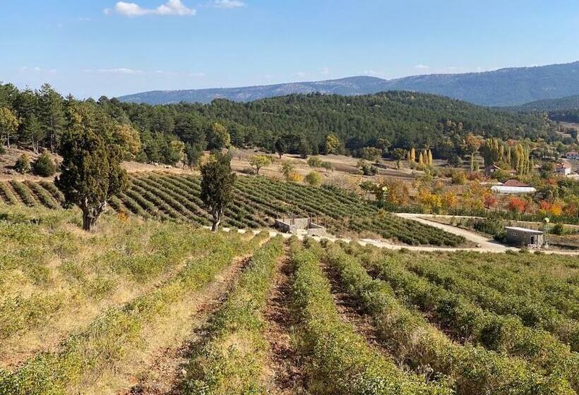 La Vie En Rose Otel By Söğütdağı
