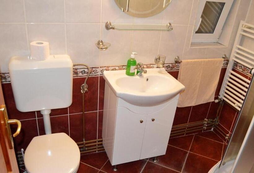ペンション Casa Piatra Craiului