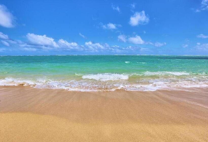Stunning Ocean Views Condos In Oahu At Punaluu