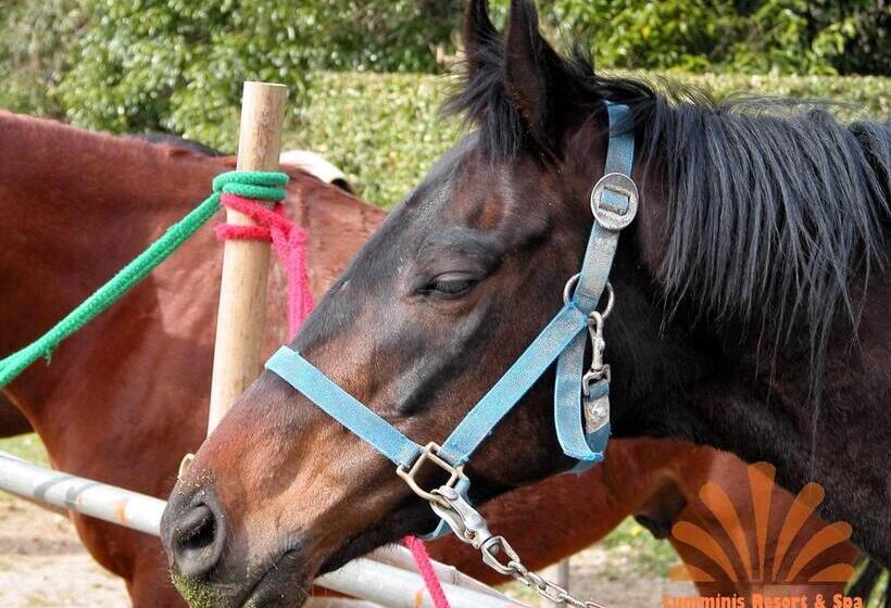 هتل Lumminis Resort & Spa