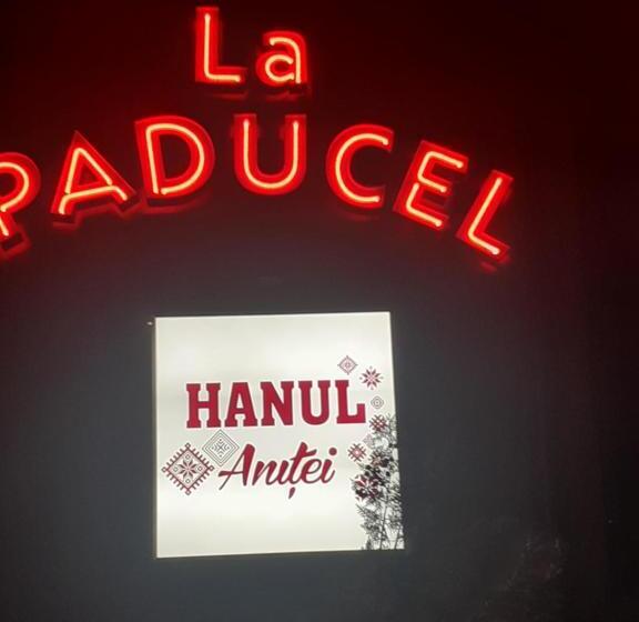 پانسیون Hanul Anitei La Paducel