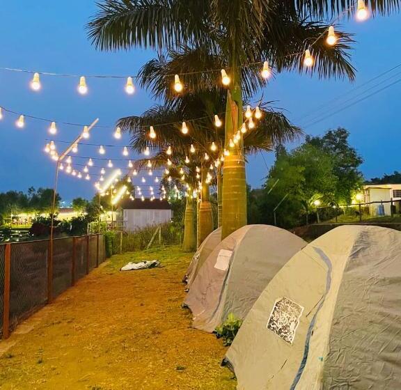 منتجع Hakuna Matata Poolside Camping Pawana