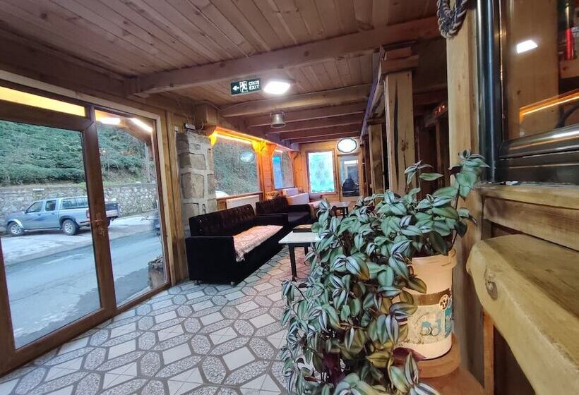 住宿加早餐  Rubaşi Otel Findikli