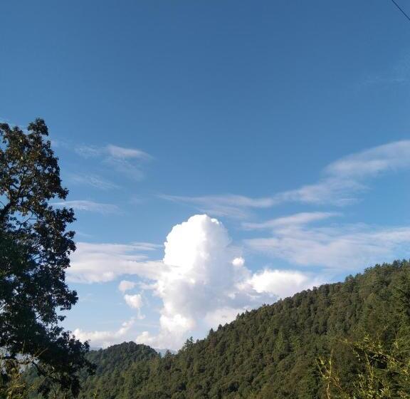 ベッドアンドブレックファースト Himalayan View