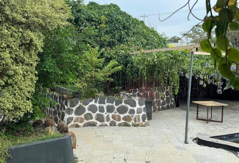 酒店 Chikoo Farm Inn