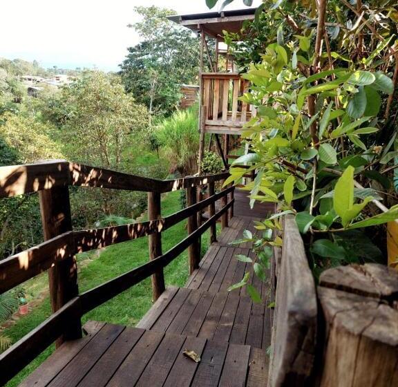 پانسیون Hostel Paraiso De Colores