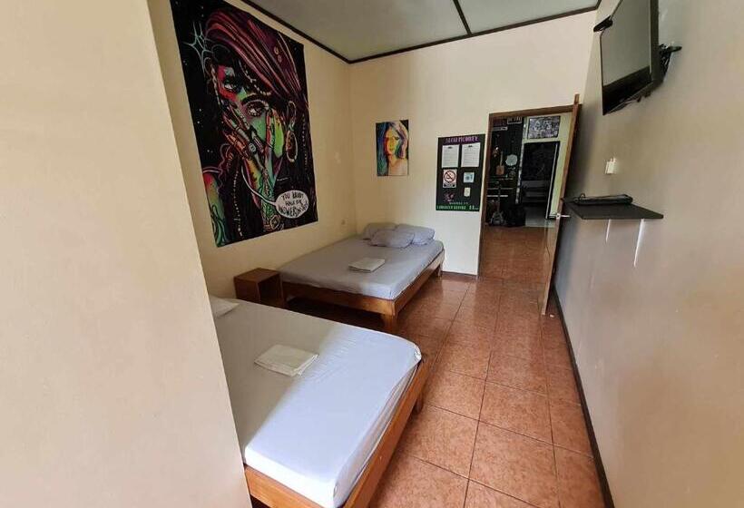 پانسیون Slow Monkey Hostel