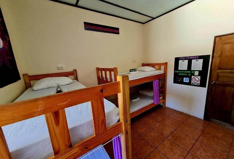 پانسیون Slow Monkey Hostel
